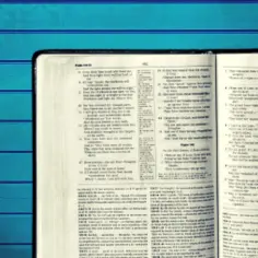 Otwarta Biblia, na stronach której widnieje tekst Pisma Świętego, przypomina o mądrości proroków Starego Testamentu.